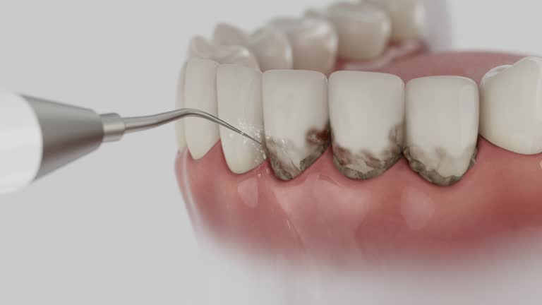 Reliable Dental contractor in Crest, CA by Dentist Open Now